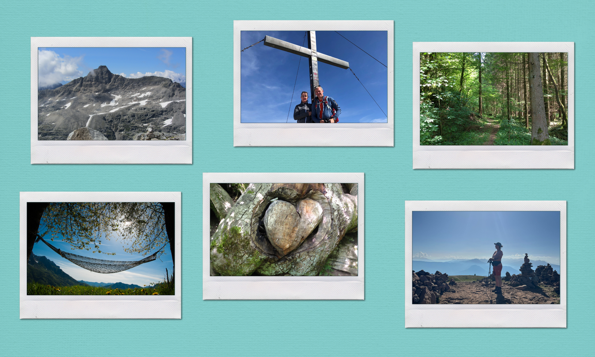 Bildcollage zu 